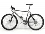 marin pine frs.jpg