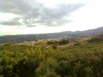 Imagen2541.jpg