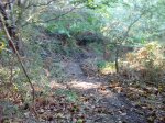 IMG_20131007_173942.jpg