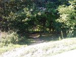 IMG_20131007_170459.jpg