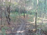 IMG_20131007_172451.jpg