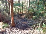 IMG_20131007_173230.jpg