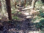 IMG_20131007_173255.jpg