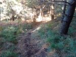 IMG_20131007_173527.jpg