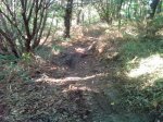 IMG_20131007_173657.jpg