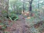 IMG_20131007_173857.jpg