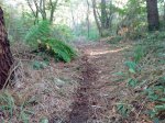 IMG_20131007_173908.jpg