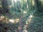 IMG_20131007_181032.jpg