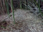 IMG_20131007_181218.jpg