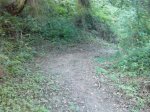 IMG_20131007_181324.jpg
