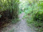 IMG_20131007_181407.jpg