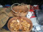 IMG-20130929-WA0009.jpg