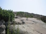 IMG_5222 (Large).JPG