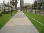 IMG_5187 (Large).JPG