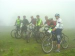gorilas en la niebla.jpg
