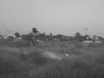 DSC00050.JPG