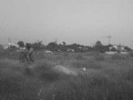 DSC00051.JPG