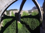 Cava arquejada.jpg