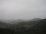 IMG_5282 (Large).JPG