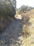 2013-10-05 11.29.55.jpg