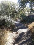 2013-10-05 11.32.54.jpg
