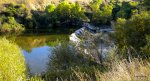 DSCN5178.JPG