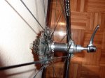 P1100754 (Copiar).JPG