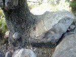 2013-10-09 11.22.47_800x600.jpg