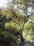 2013-10-09 11.23.19_450x600.jpg