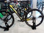 FOCUS RAVEN 1 (800x599).jpg