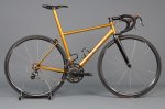 goldtina-1024x682.jpg