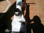 2013-10-11 13.49.24.jpg