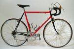 les_raleigh.jpg
