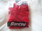 santini 4.JPG