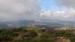 DSC_8228.jpg