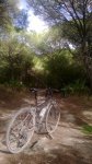 camino_medina2.jpg