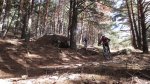 IMG_8529.JPG