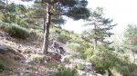 IMG_8558.JPG