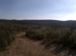 Escacena del Campo-20131012-00066.jpg