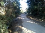 IMG-20131012-00050.jpg