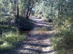 IMG-20131012-00055.jpg