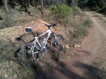 IMG-20131012-00062.jpg