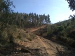 Paterna del Campo-20131012-00067.jpg