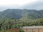 IMG_3407.JPG