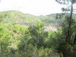IMG_3413.JPG