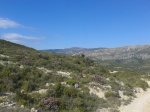 IMG-20131012-WA0008.jpg