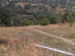 IMAG0829.gif