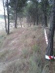 20131014_185109.jpg