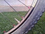 20131013_170056.jpg