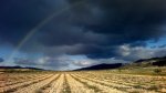 2013-03-24-3714-1web.jpg